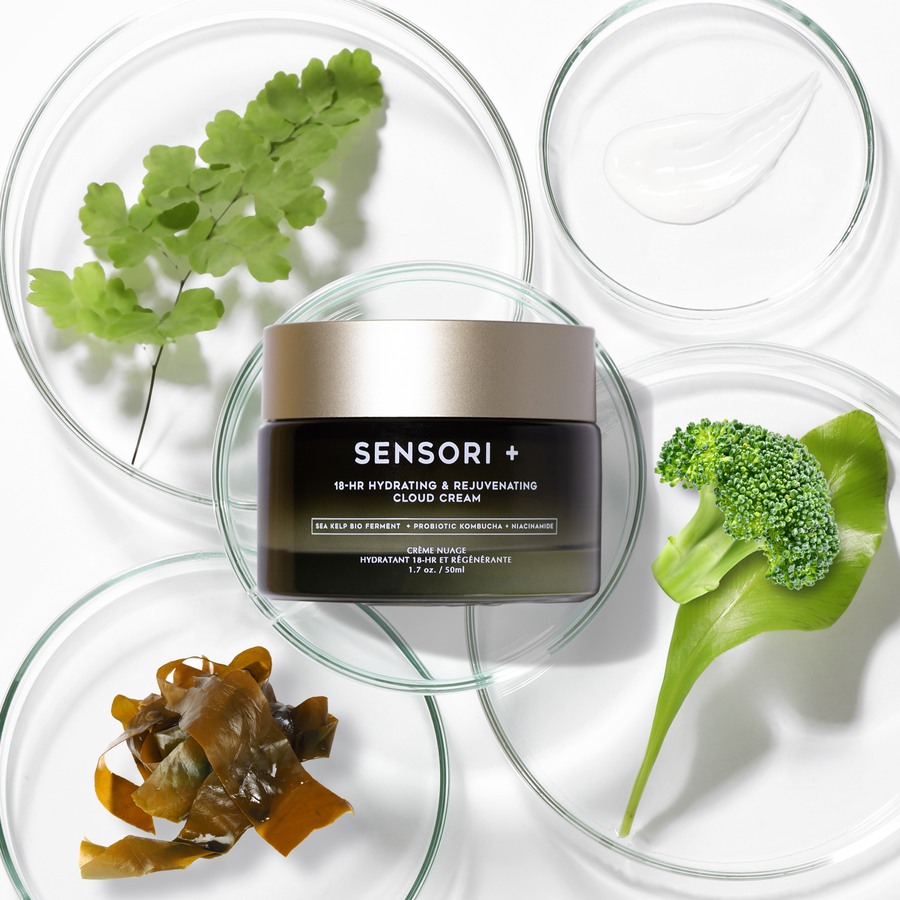 SENSORI+ Cloud Cream moisturizer in an olive green glass jar with laboratory glassware on the side and decorated with ferns and active ingredients